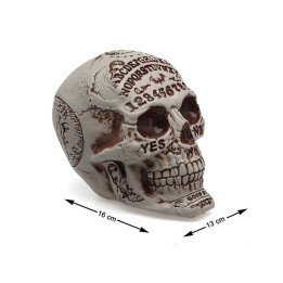CABEZA CALAVERA 13X16X18 CM 79345