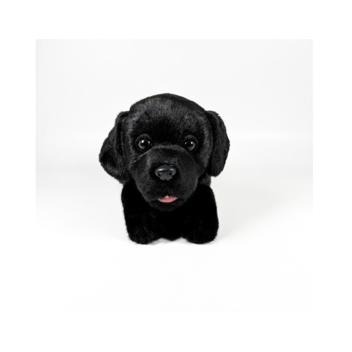 PELUCHE LABRADOR NEGRO 25CM 00286