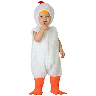 GALLINA DE 6 A 12 MESES