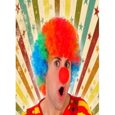 PELUCA MULTICOLOR 31808 