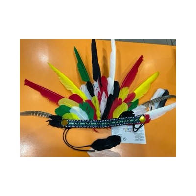 PLUMAS INDIO 93353 