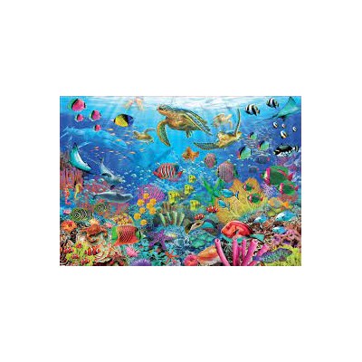 PZ 1000 TORTUGAS PARAISO...