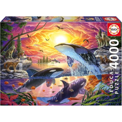 4000 ORCAS Y LOBOS 20259