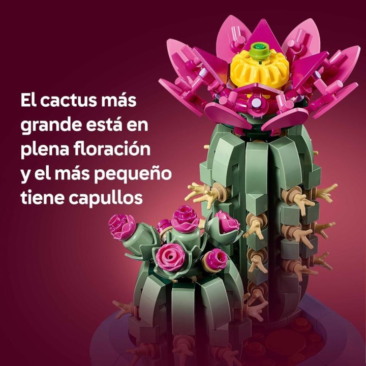 CACTUS EN FLOR 11509