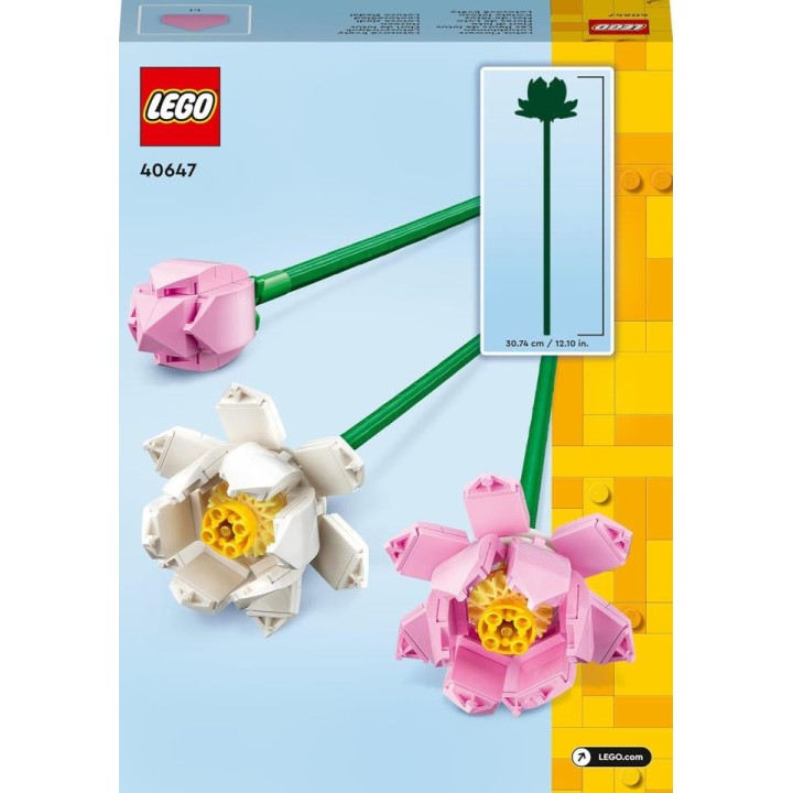 FLORES DE LOTO 40647