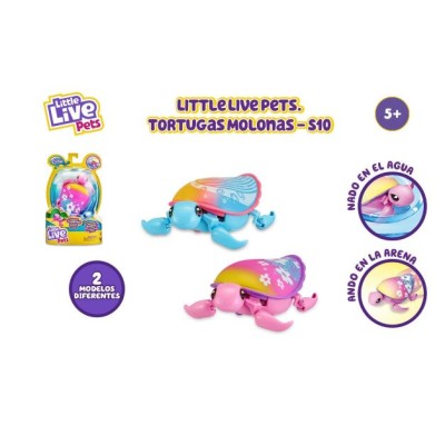 LLP TORTUGAS MOLONAS LPU08000