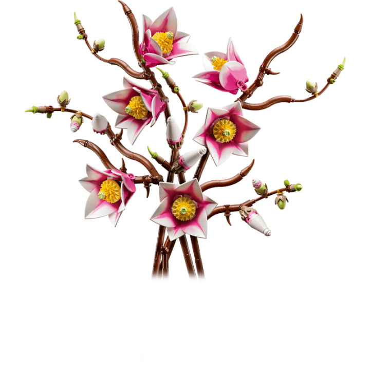 RAMAS DE MAGNOLIA 11510