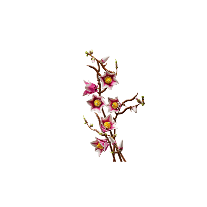 RAMAS DE MAGNOLIA 11510