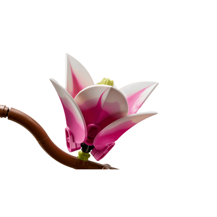 RAMAS DE MAGNOLIA 11510