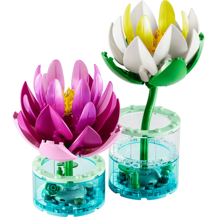 NENUFARES 11511