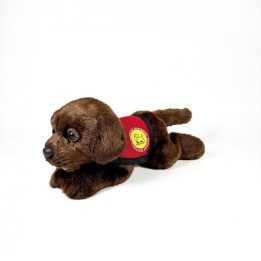 PELUCHE LABRADOR CHOCOLATE CHALECO 21CM D00248