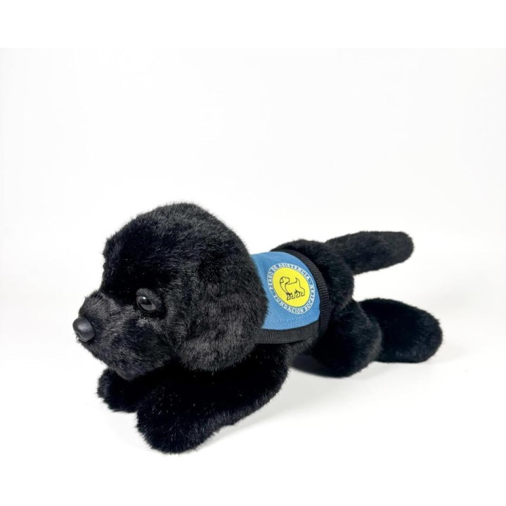 PELUCHE LABRADOR NEGRO CHALECO D00249