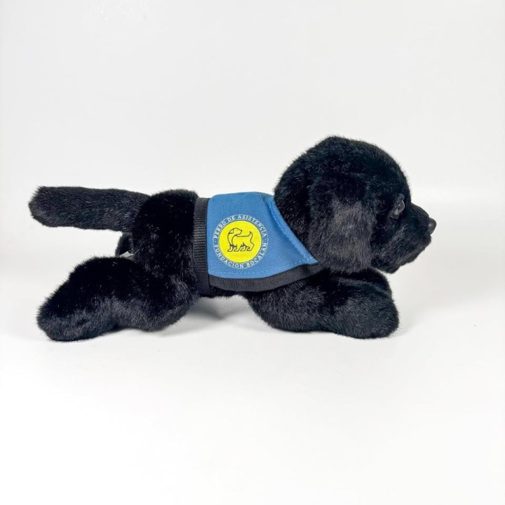 PELUCHE LABRADOR NEGRO CHALECO D00249
