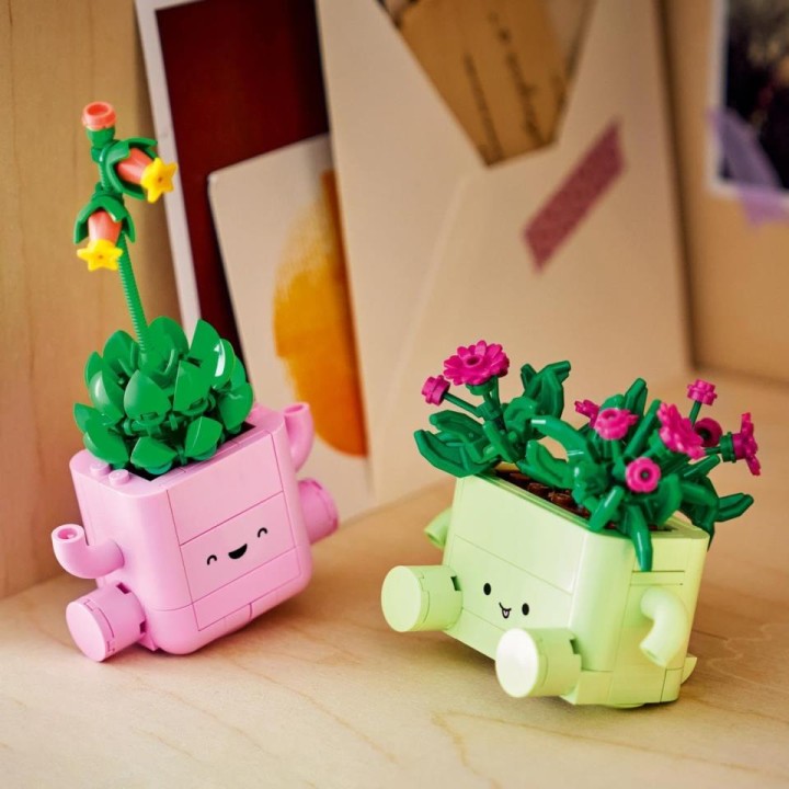 PLANTAS BAILARINAS 11506