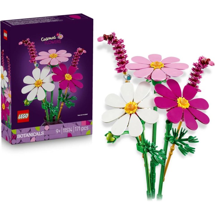 FLORES COSMOS 11514