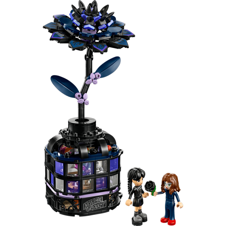 DALIA NEGRA 76784