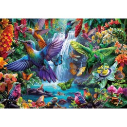 1000 COLIBRÍES TROPICALES 20555