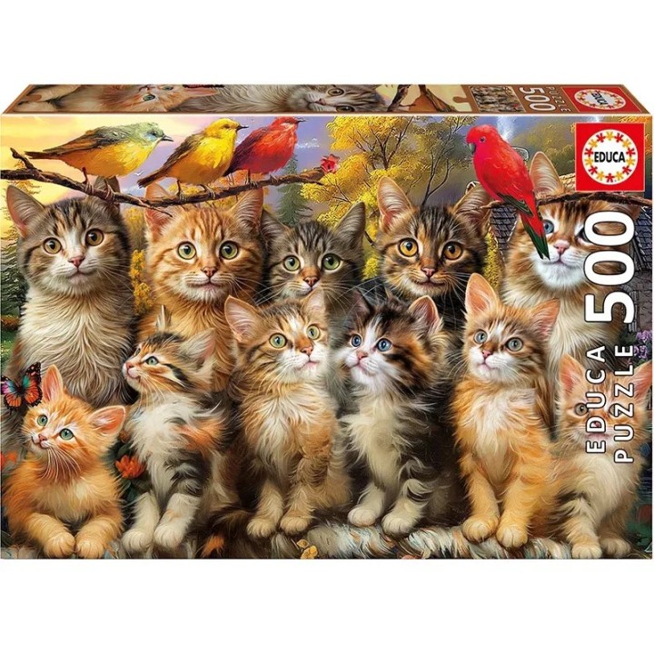 PUZZLE 500 GATITOS Y PAJAROS 20241