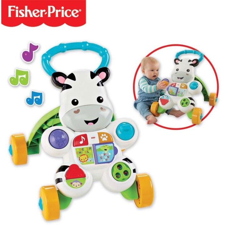 FP CEBRA PARLANCHINA DLD87