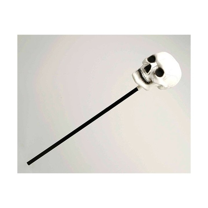 CETRO CALAVERA 62CM 23272