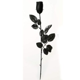 ROSAS 53CM 98023