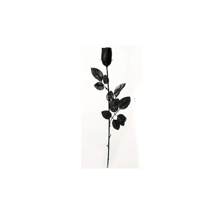 ROSAS 53CM 98023