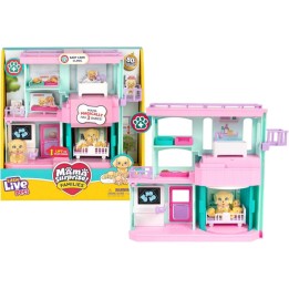 LLP MAMA SURPRISE HOSPITAL LP307000