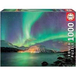 PUZZLE 1000 AURORA BOREAL 17967