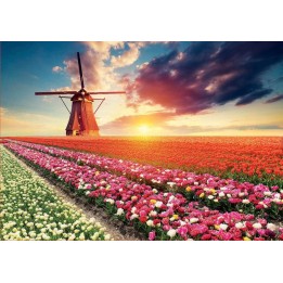 PZ 1500 PAISAJE TULIPANES 18465