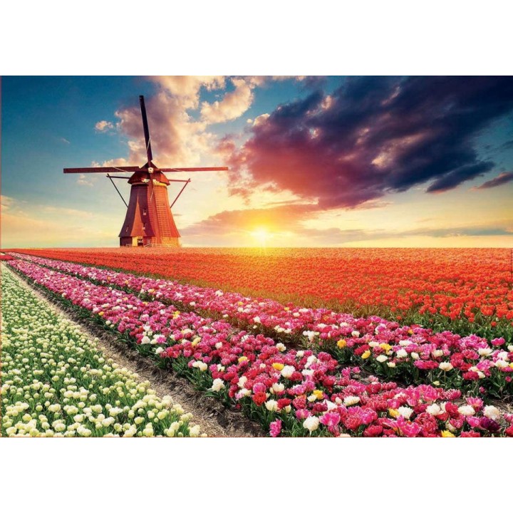 PZ 1500 PAISAJE TULIPANES 18465