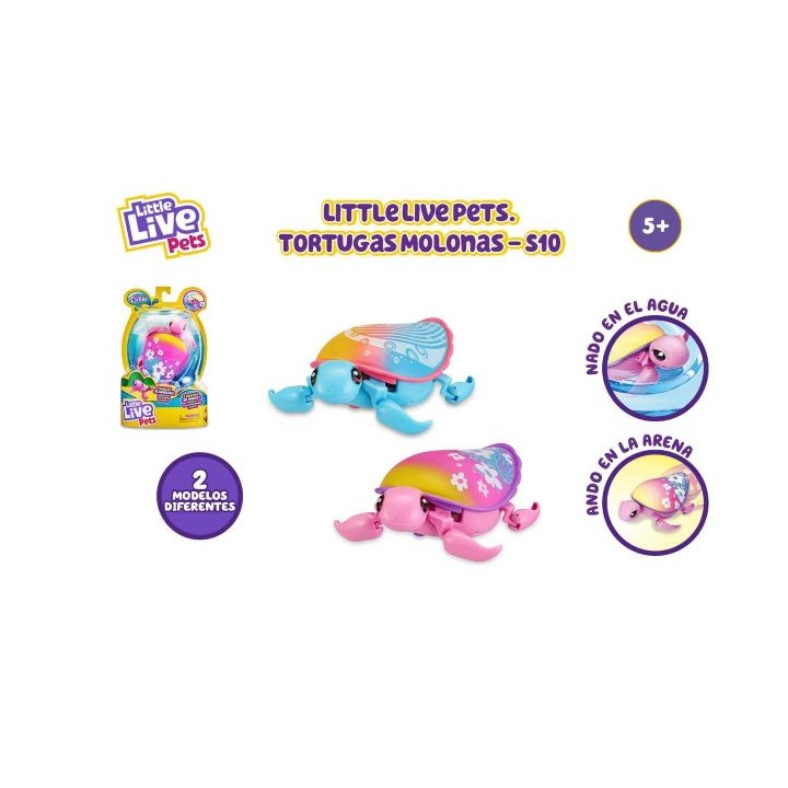 LLP TORTUGAS MOLONAS LPU08000
