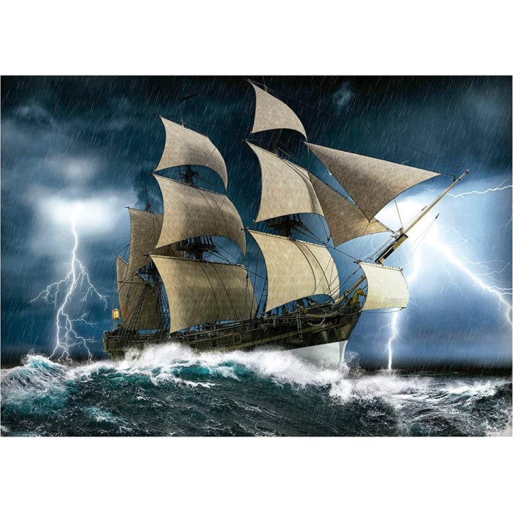 PUZZLE 1000 TORMENTA PERFECTA 19556