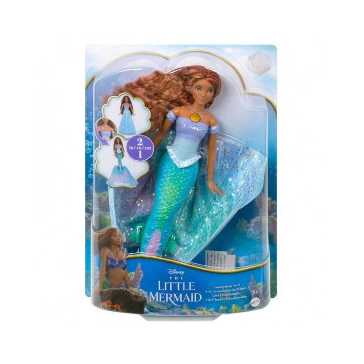 SCALLOP ARIEL HLX13