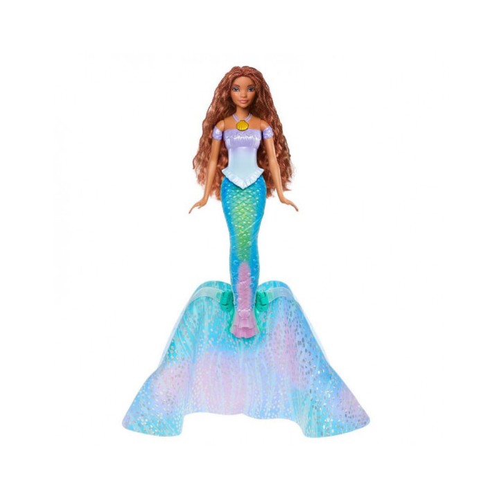 SCALLOP ARIEL HLX13
