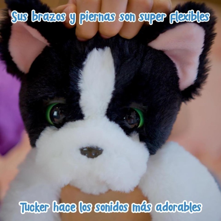 TUCKER PERRO DORMILON MYE00211