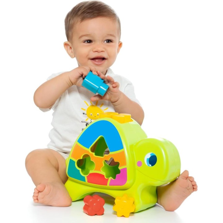 TORTUGA ACTIVIDADES 24501