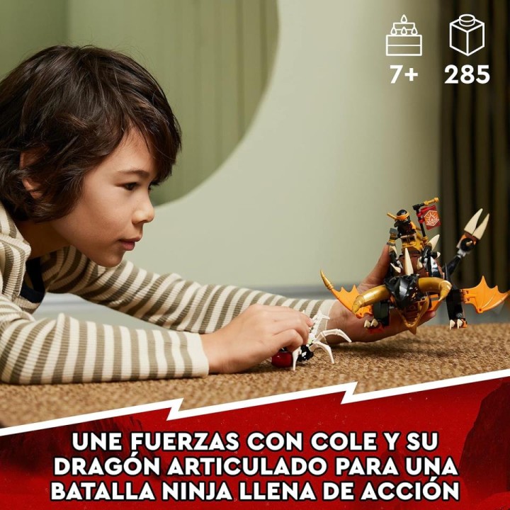 DRAGON TIERRA EVO COLE 71782