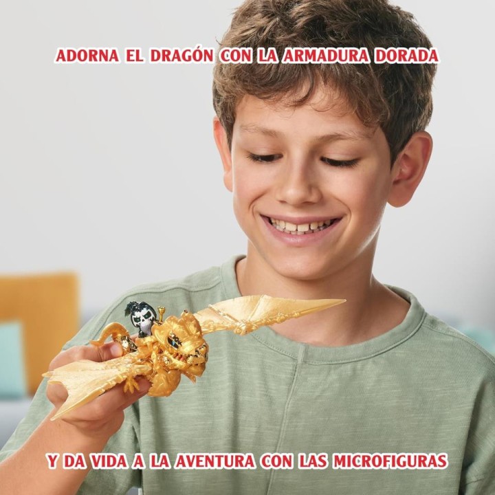 TX COFRE DRAGON TRR69000